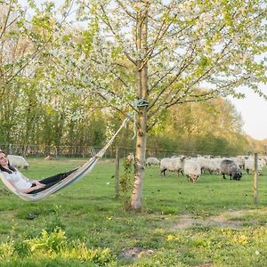 Pipowagen Lidewei Groningen Westerwolde Unieke Ligging Met Eigen Tuin En Vrij Uitzicht Over Veld Naar Natuurgebied Bed & Breakfast Onstwedde Exterior photo