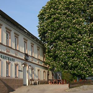 Gasthof Hehenberger Hotel Wallsee Exterior photo