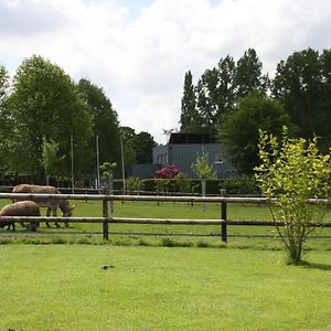 Le Verger B&B Gorron Exterior photo