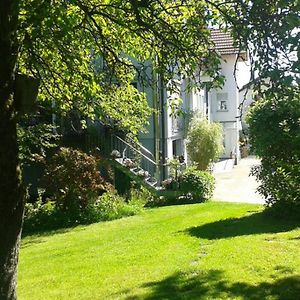 Anna - Neue Ferienwohnung Mit Blick Ins Gruene Ober-Abtsteinach Exterior photo