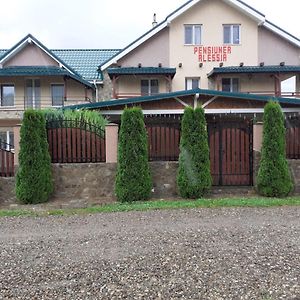 Pensiunea Alessia Hotel Piatra Neamt Exterior photo