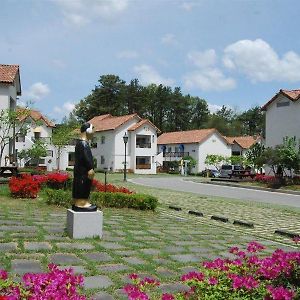 Damyang Meta Pension Hotel Exterior photo