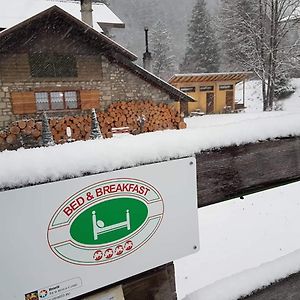 B&B Abete Bianco Auronzo di Cadore Exterior photo