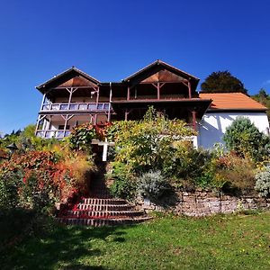 Haus Katz Apartment Schonau  Exterior photo