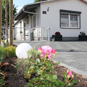 Ferienhaus Gluecksmoment Villa Blankenburg  Exterior photo