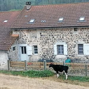 Gite A La Ferme Apartment Le Malzieu-Ville Exterior photo