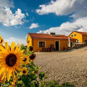 Spazio Natura Bed & Breakfast Castelmezzano Exterior photo