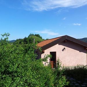 La Volpe E La Luna Bed & Breakfast Mioglia Exterior photo