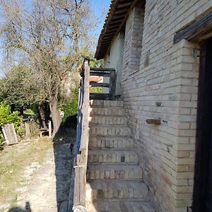 Casa Di Terra Cruda Bed & Breakfast Monsampolo Del Tronto Exterior photo