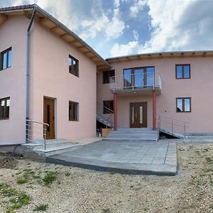 Casa Bia Cribo Sannicolau De Munte - Bai Termale Hotel Săcueni Exterior photo