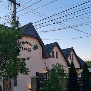 Pensiunea Brazi Hotel Turda Exterior photo