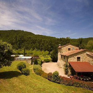 Il Mulino - Beautiful, Family-Friendly Tuscan Villa With Fenced Pool Monterchi Exterior photo