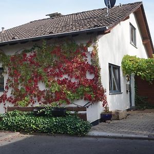 Haus Eifeldolomiten - Ankommen Und Wohlfuhlen Gerolstein Exterior photo