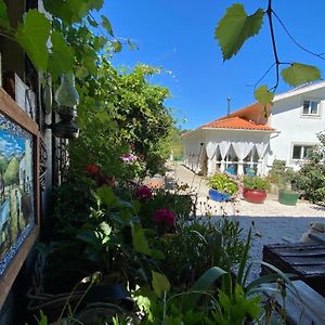 Casa Traca Bed & Breakfast Valbona Exterior photo