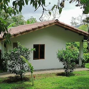 La Ceiba Tree Lodge Tilarán Exterior photo