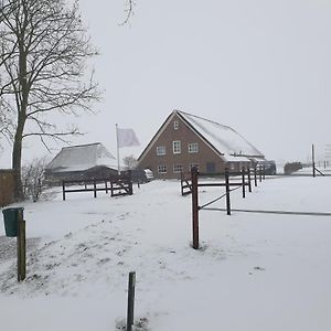 Landelijk Gelegen Boerderij Aan De Pothofweg Apartment Anevelde Exterior photo