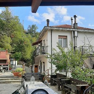 La Tana Dei Conigli Apartment Serra Rocco Exterior photo