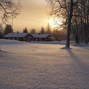 Lapland Stuga & Tours Cottage E Rentjarn Exterior photo