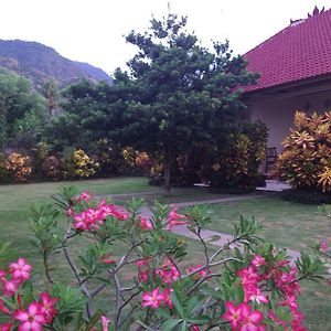 Gunung Mas Pemuteran Hotel Exterior photo