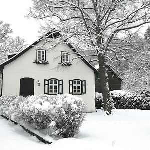 Landsitz Oberhof Petit Hotel Muggendorf  Exterior photo