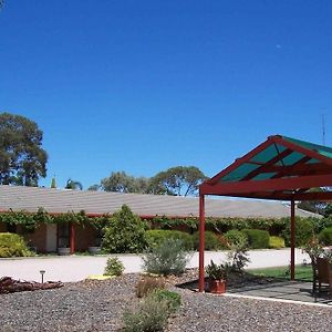 Kadina Gateway Motor Inn Exterior photo