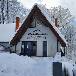 Pensiunea Black Mountain Hotel Baia-Sprie Exterior photo