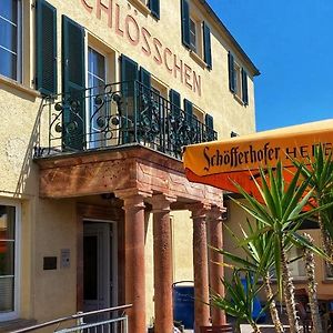 Das Muldenschloesschen - Gaestehaus & Restaurant Hotel Lunzenau Exterior photo