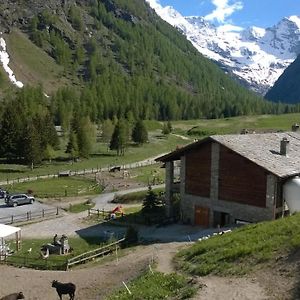 La Ferme Du Grand Paradis Villa Cogne Exterior photo