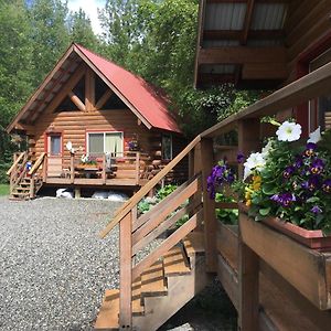 Hatcher Pass Cabins Palmer Exterior photo