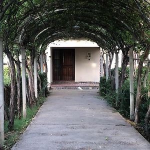 La Casona De Don Salo Villa Mendoza Exterior photo