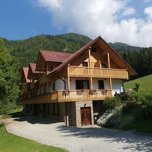 Turisticna Kmetija Zgornji Zavratnik Hotel Luce Exterior photo