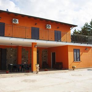 La Casa Sulla Collina Bed & Breakfast Altavilla Silentina Exterior photo