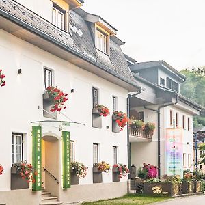 Bio-Bauernhof-Hotel Matlschweiger Lassing  Exterior photo