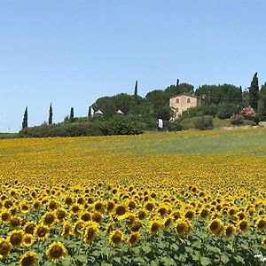 Il Vecchio Seccatoio Bed & Breakfast Solomeo Exterior photo