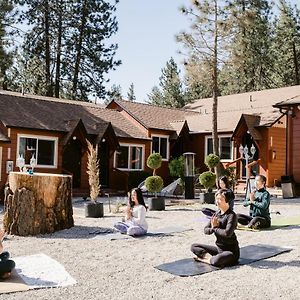 Grand Pine Cabins Wrightwood Exterior photo