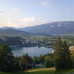 Apartment Mojca Near Bled Zabreznica Exterior photo