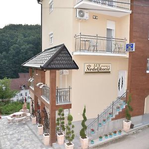 Vila Lux Nedeljkovic Gornja Trepca Apartment Cacak Exterior photo