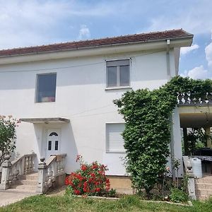 Imanje Pavlicic - Vila Jovanka Apartment Danilovgrad Exterior photo