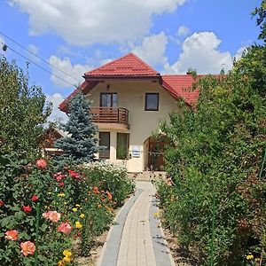 Agropensiunea Florina-Maria Hotel Branistea  Exterior photo