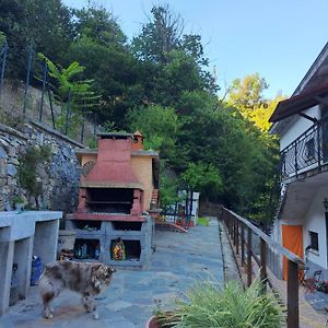 The Giaggiolo'S House Apartment Serra Rocco Exterior photo