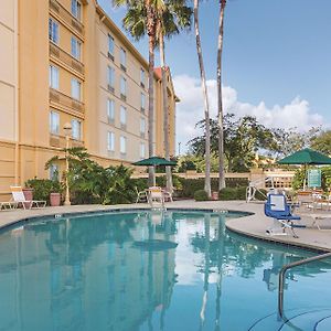 La Quinta By Wyndham Orlando Airport North Hotel Exterior photo