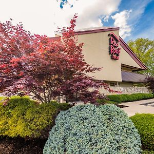 Red Roof Inn Cincinnati Northeast - Blue Ash Exterior photo