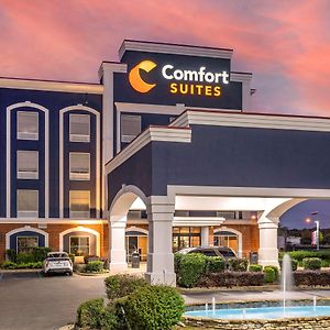 Comfort Suites Olive Branch - Memphis South Exterior photo