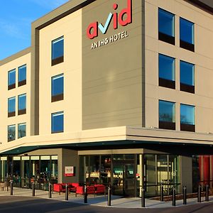 Avid Hotel Boston Logan Airport - Revere Exterior photo