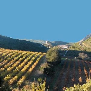 Gite Dans Ancienne Bergerie En Pleine Garrigue Apartment Fraisse-des-Corbieres Exterior photo