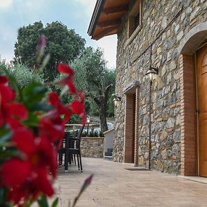 Il Casale Del Barone Bed & Breakfast San Giovanni a Piro Exterior photo