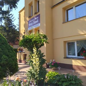 Dom Wypoczynkowy Maly Chemik Hotel Ciechocinek Exterior photo