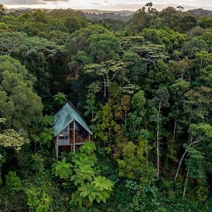 Rose Gums Wilderness Retreat Villa Butchers Creek Exterior photo