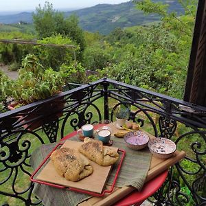 La Collina Olistica Bed & Breakfast Tregnago Exterior photo