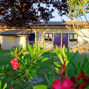 Logis Hotel Le Mistral - Restaurant - Montelimar Sud Chateauneuf-du-Rhone Exterior photo